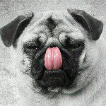 Profile Picture of Edward Fielding (@fieldingedward) on Instagram