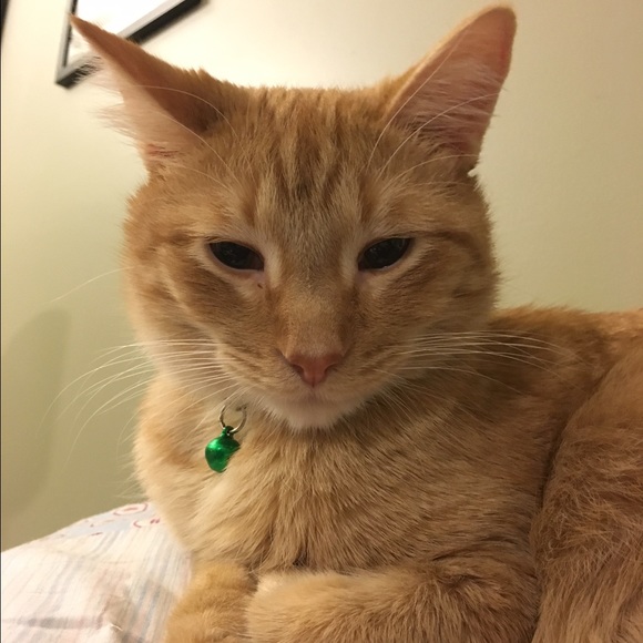 Profile Picture of Koreena Hemker (@khemker) on Poshmark