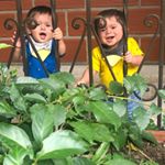 Profile Picture of Guillermo Posada (@luispo314) on Instagram