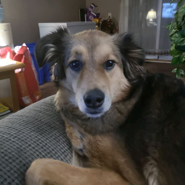 Profile Picture of   Cathy Oberer... (@honey_jasmine_angel) on Tiktok