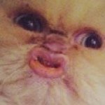 Scott Hillen - Instagram Profile Picture of Scott Hillen (@scotthillen1) on Instagram