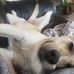 Profile Picture of Kenneth Toth (@kenneth.toth.311) on Facebook
