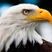 Profile Picture of Jose Tabora (@joseatavora41) on Pinterest