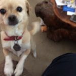 Profile Picture of Paula Himes (@paula.himes.50) on Instagram