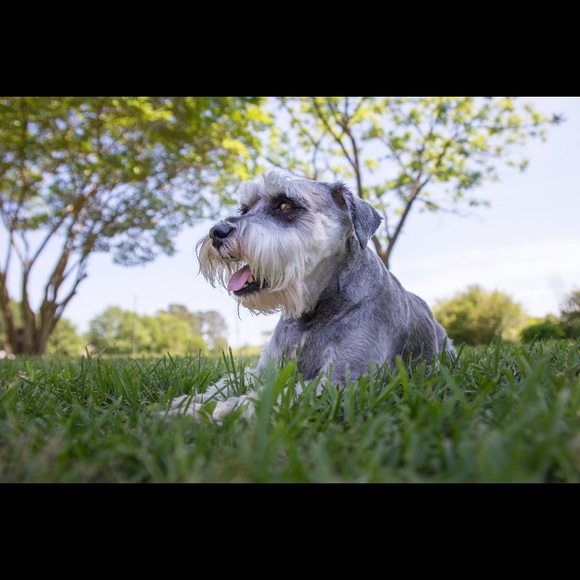 Profile Picture of Amanda Gilbert (@19218) on Poshmark