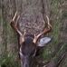 Profile Picture of Mark Tassin (@mark.tassin.3) on Facebook