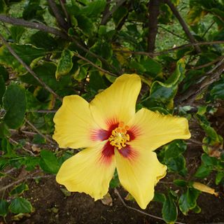 Profile Picture of Myrna Evanishen (@myrna.evanishen) on Facebook