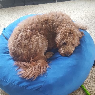 Profile Picture of Connor Atkins (@Ignitiss) on Twitter