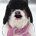 Profile Picture of Joshua  Bevis👍😀😂😀 (@joshbbevis22) on Instagram