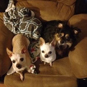 Profile Picture of Amanda Cope (@sassynsweet2002) on Twitter