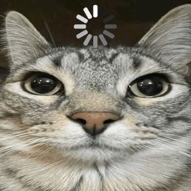 Profile Picture of Benjamin Rubio (@ben_rubio67) on Tiktok