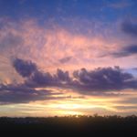 Bob Thorton - Instagram Profile Picture of Bob Thorton (@le_beau_mental) on Instagram