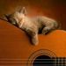 Profile Picture of Lynnette Roach (@lynnz1985) on Pinterest