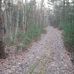 Profile Picture of Diane Cheney (@diane.cheney.7524) on Facebook