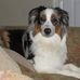 Profile Picture of Mark Gladden (@mark.gladden.3) on Facebook