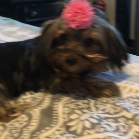 Profile Picture of Paula Aranda (@paulaaranda80) on Poshmark