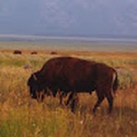 Profile Picture of Dennis Foreman (@dennis-foreman-17) on Quora