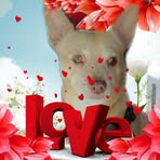 Profile Picture of Bryant Young (@bryant.young.564) on Facebook