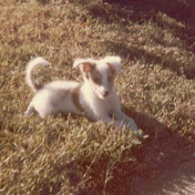 Profile Picture of David Marks (@davidmarks8507) on Youtube