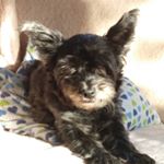 Profile Picture of Ruth Hobby (@5147_ruth) on Instagram