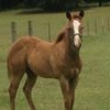 Profile Picture of Howard B Fontenot (@howardb.fontenot.3) on Facebook