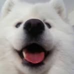 Profile Picture of Racheal Barrow (@racheal.barrow.5) on Facebook