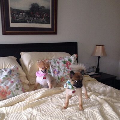 Profile Picture of Robert M Turnbull (@ronandrob) on Twitter