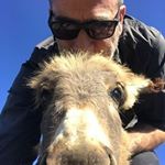 Profile Picture of Jeffery Dean Morgan (@jeffreydeanmorgan_official1) on Instagram