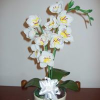 Luigina Bernardi - Pinterest Profile Picture of Luigina Bernardi (@bernardiluigina) on Pinterest