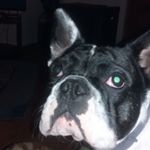 Profile Picture of Nichola Wright (@nicholawright16) on Instagram