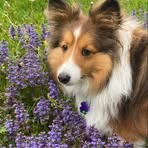 Profile Picture of Andrew Chase (@andrew.chase.207004) on Facebook