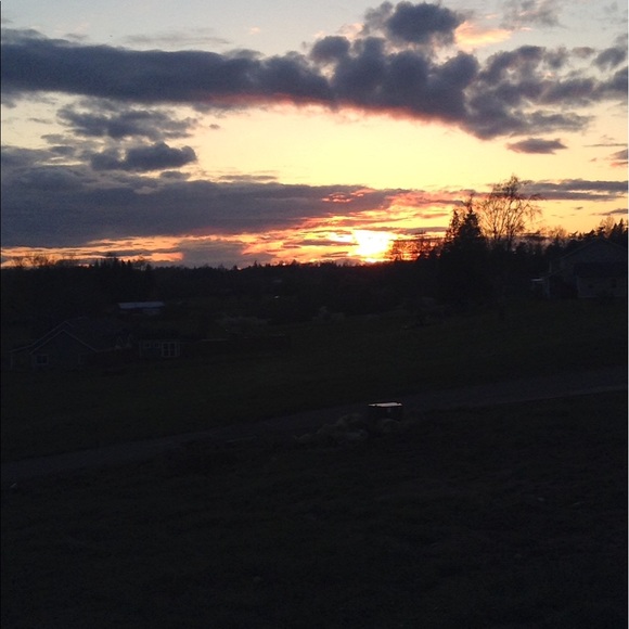 Tyler Kennerley - Poshmark Profile Picture of Tyler Kennerley (@tylerkennerley) on Poshmark