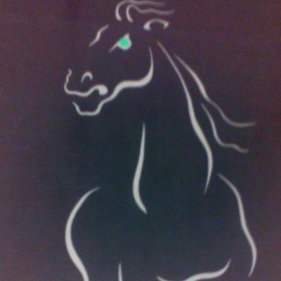 Profile Picture of Joan Moll Thomas (@DragoneraM) on Twitter