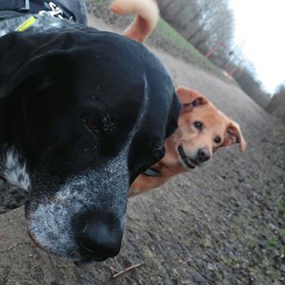 Profile Picture of Christian Beitler (@christian.beitler.7) on Facebook