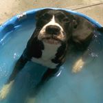 Profile Picture of Richard Derderian (@richardderderian) on Instagram