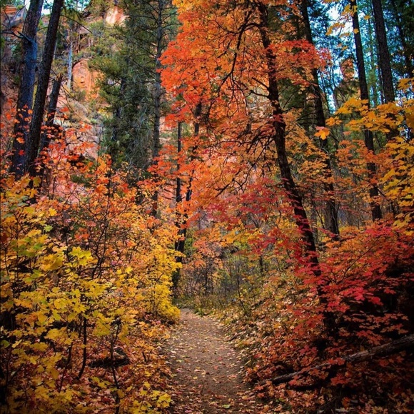 Profile Picture of Brianna Henzel (@breezydaze17) on Poshmark