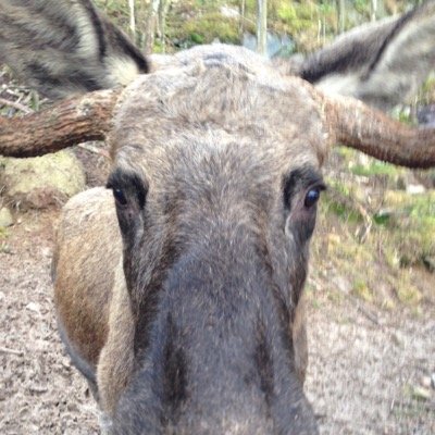 Profile Picture of Julia Rubin (@JuliaRuMainz) on Twitter