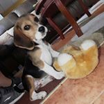 Profile Picture of Marlene Albarrán (@marle.2304) on Instagram