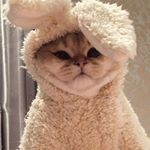 Profile Picture of Daniel Elton (@daniel_eltonn) on Instagram