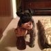 Profile Picture of Amber Bertrand Romero (@ambe724) on Pinterest