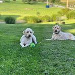 Profile Picture of Sherry Overly (Sherry Edwards) (@sherry.overly) on Facebook