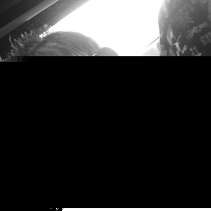 Profile Picture of Aaron Chichester (@280627857) on Myspace