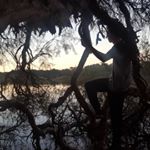 Profile Picture of THCElite (@daniel_liversidge18) on Instagram