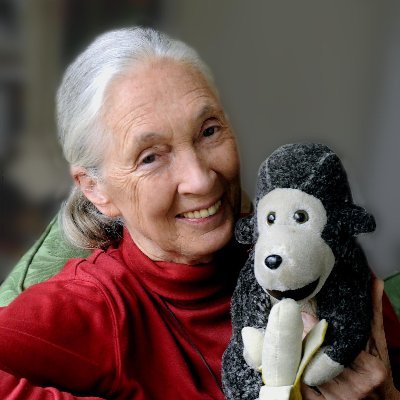 Profile Picture of Jane Goodall 🇨🇦 (@JaneGoodallCAN) on Twitter