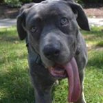 Pamela Mueller - Instagram Profile Picture of Pamela Mueller (@nanamueller58) on Instagram