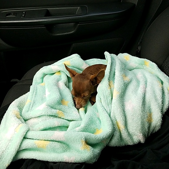 Profile Picture of Tracey Coleman (@tackcoleman) on Poshmark