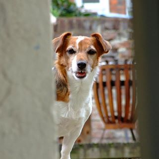 Profile Picture of Trudi Scanes (@trudi.scanes) on Facebook