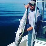 Dennis Medved - Instagram Profile Picture of Dennis Medved (@dgmedved) on Instagram