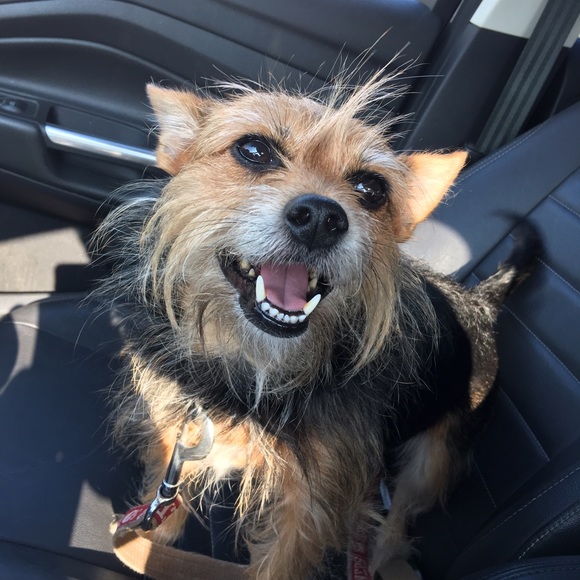 Profile Picture of Kelly Hoffhines (@jnxgrl588) on Poshmark