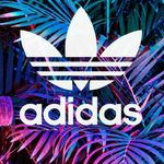 Profile Picture of Thomas Fishwick (@thomas_fishwick2008) on Instagram